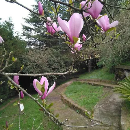 Дом отдыха Palacete Penanora *